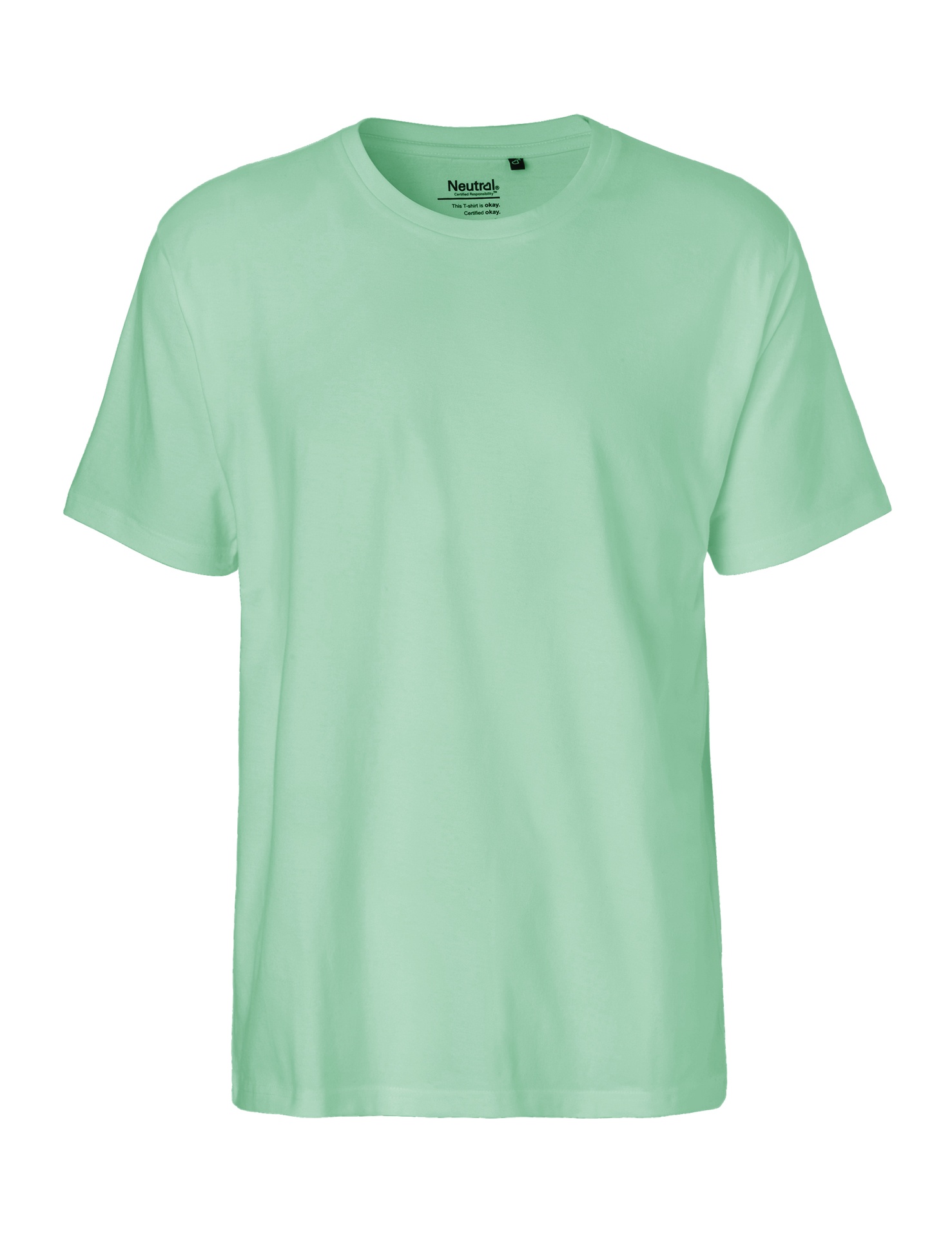 [PR/01326] Mens Classic T-Shirt (Dusty Mint 40, S)
