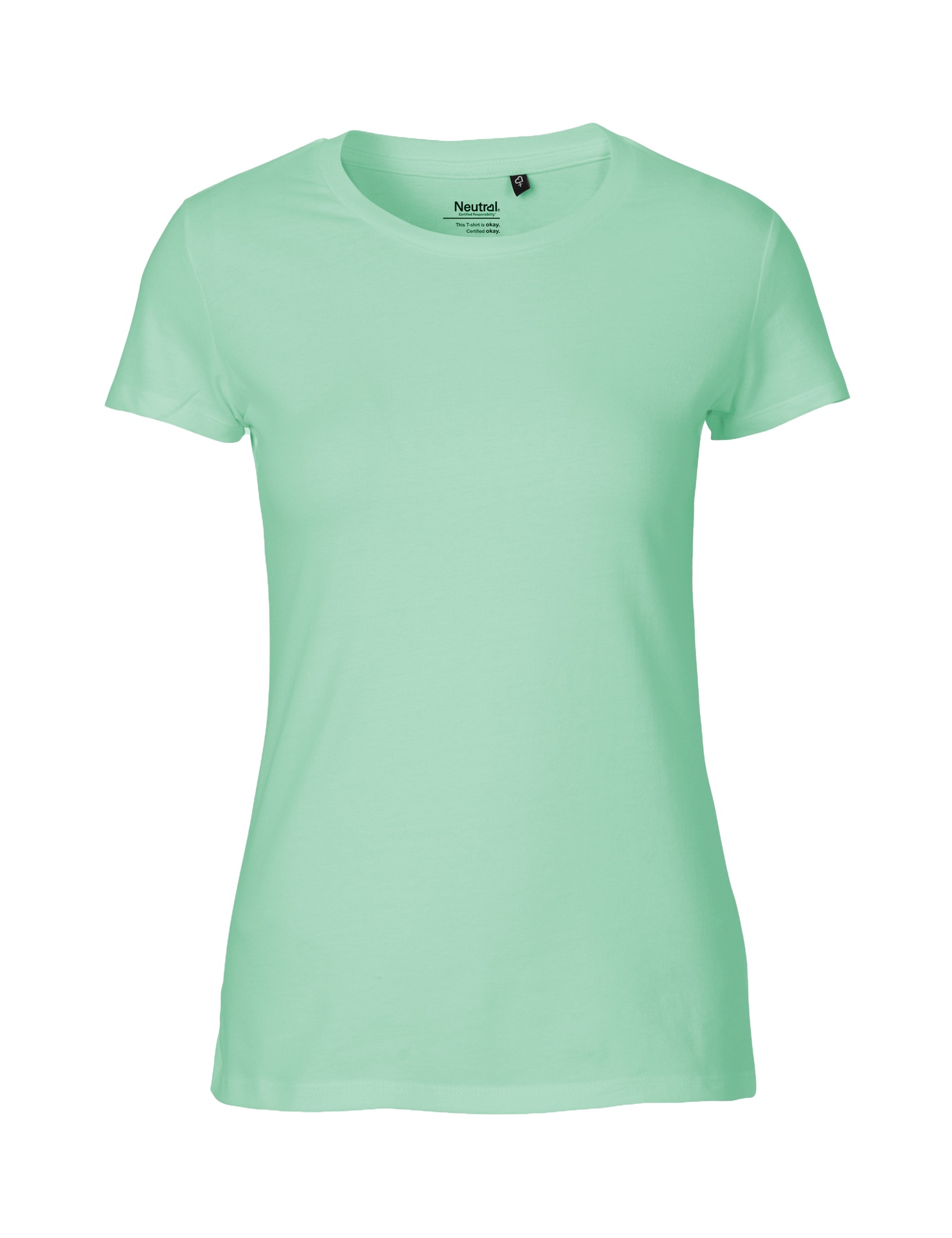 [PR/04346] Ladies Fit T-Shirt (Dusty Mint 40, S)